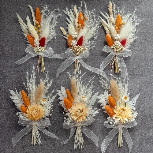 xin's convey Mini Dried Flower Set (Pack of 6), Orange Small Bouquet, Pampas Small Bouquet, Party Plate Decoration, Bridesmaid Flower Girl Proposal Box, Birthday Cake Decoration (Terracotta) - color: Orange