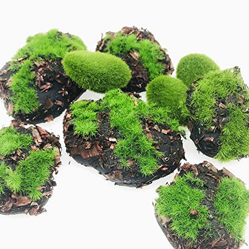 Woohome 38 PCS Faux Moss Stones Artificial Moss Rocks Decorative, 30 PCS Faux Green Moss Covered Stones und 8 PCS Sawdust Moss Decor for Fairy Gardens, Floral Arrangements, Crafting - color: 38 Pcs Sawdust-a