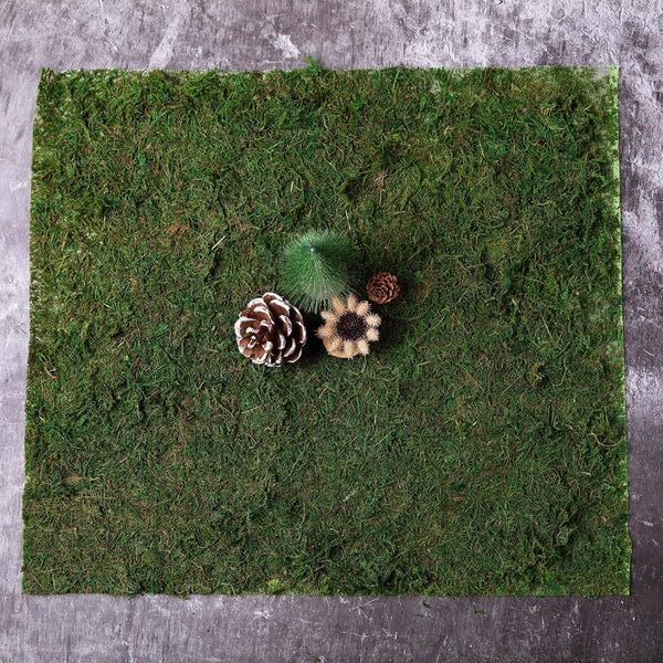 Tableclothsfactory 18" x 16" Preserved Natural Moss Roll Faux Green Living Wall Foliage Green Garden Wall Mat - color: Moss