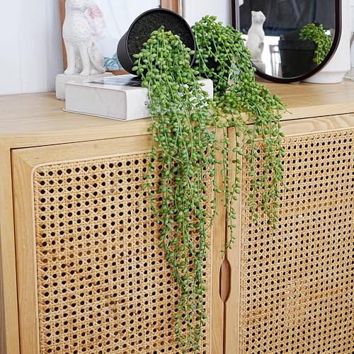 Jahe 2 Pcs String of Pearls Artificial Plants Indoor, Beaded Plant Succulents Plants Artificial, Fake Vines in Black Pots,Trailing Faux Plant for Living Room Bathroom Accessories Farmhouse Wall Decor