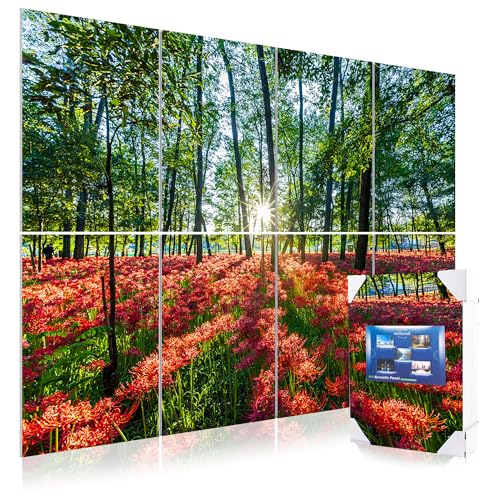 Mollywell Art Acoustic Panels, 48x32 in, Flowers Burning in Forest Gaps | Self-Adhesive, Reduces Echo, Sound Absorbing, Modern Art Wall Decor, Living Room, Studio, Bedroom, Office - color: Flowers Burning in Forest Gaps, size: 8 Pack Art