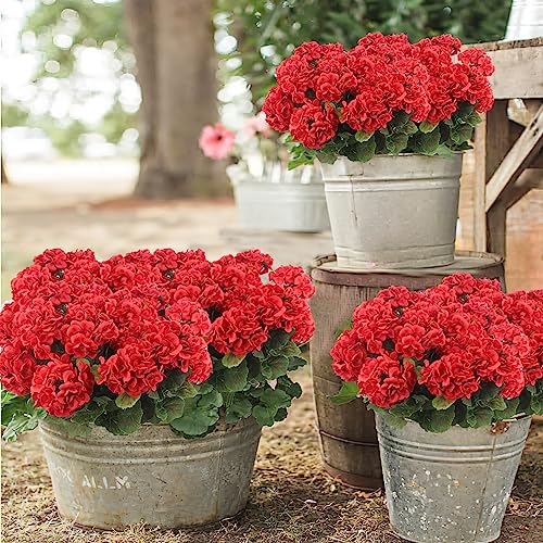 CISDUEO 4 Pcs Artificial Geranium Flowers for Outdoors Silk Geraniums Flowers Outdoor UV Resistant Red Fake Geranium Bush Faux Geraniums for Outdoor Planter Decor Indoor Garden Patio Table Centerpiece - color: Red