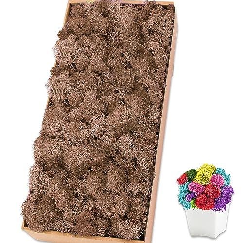 Preserved Reindeer Moss 17.6 OZ Brown Natural for Crafts, DIY Gift Christmas Decor, Wall Art, Potted Plants, Floral Fake Moss for Easter Table Decor Wedding Decorative(1.1 LB, Brown) - color: Brown, size: 17.6 OZ