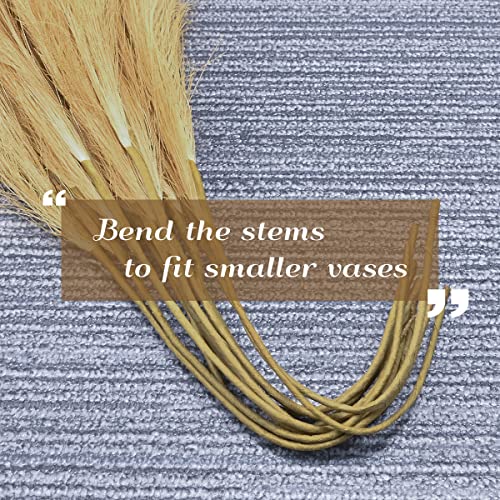U-LIAN 12PCS Faux Pampas Grass 24 Inch, Small Artificial Pampas Grass Decor for Vase, Fake Fluffy Floral, Artificial Dried Flowers, Dry Plant Home Wedding Boho Decor(Beige&Brown Gradient) - color: Beige&brown Gradient, size: 24"-12 PCS