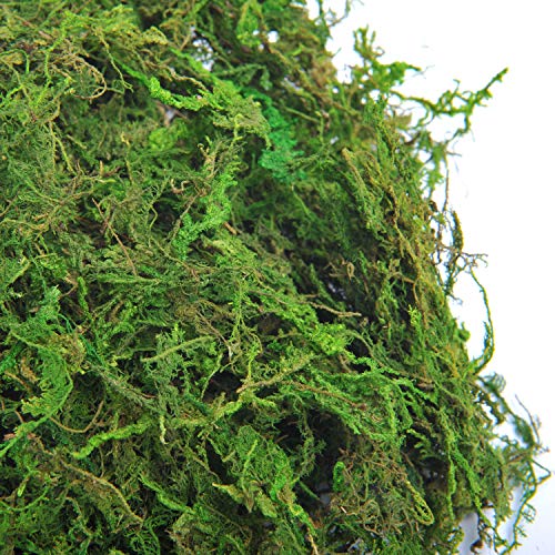 TOPCOMWW Fake Moss, 10.5oz Aftificial Decorative Green Grass for Centerpieces, Plant, Crafts, Flowers - color: Green - 10.5oz