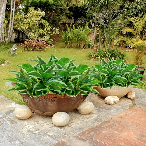 8 Pcs Artificial Hosta Plants, 16" Fake Tropical Green Plants, UV Resistant, Realistic Faux Green Leaf Stems for Home Offices Outdoor Porch Patio Balcony Garden Indoor Table Decor - color: White Edge, size: 8 Pcs