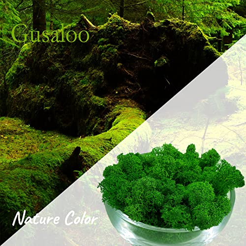 Moss Preserved Artificial Moss Natural Fresh Green Moss for Craft Arts Floral Project Wall Decor Table Decor Wedding Centerpieces Garden Terrariums Decoration -Mid Green 3.5OZ - color: Midgreen, size: 3.5oz