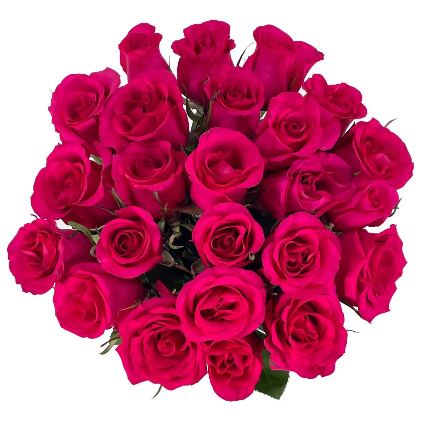 25 Hot Pink Roses with Vase | Arabella Bouquets | Real Fresh Flowers for Delivery, Gift for Birthday Women, Congratulations, Anniversary, Thank You, Mother's Day - color: Hot Pink, size: 25 Stems