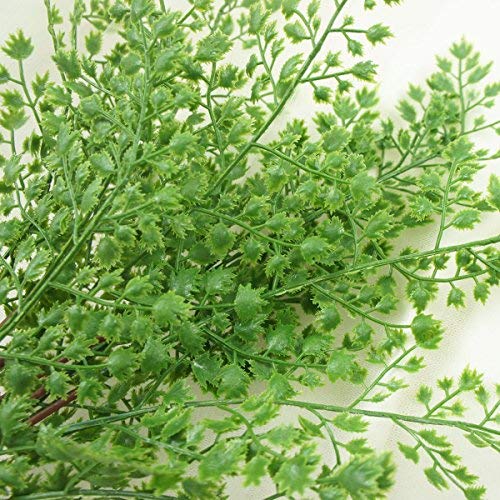 18" Artificial Soft Plastic Fern - Package of 3 (Maidenhair) - color: Maidenhair