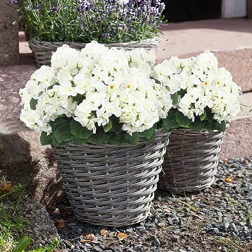 CISDUEO 4 Pcs Artificial Geraniums Silk Flowers Outdoor Artificial Geranium Bush White Faux Flowers Geraniums for Floral Home Decor Outdoor Indoor Garden Patio Grave Cemetary Vase Table Centerpiece - color: White
