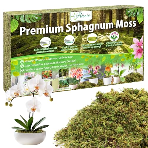 Riare 3.5OZ Premium Sphagnum Moss for Plants- 4QT Natural Dried Plant Moss for Potted Plants, Orchid Moss for Repotting, Soft Green Decorative Moss for Succulents, Reptiles & DIY Crafts - color: 4 QT(Appx.3.5oz)