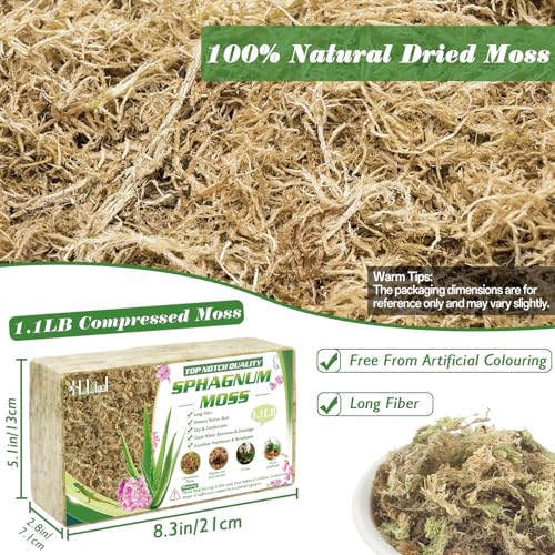 Halatool 1.1LBS Sphagnum Moss for Orchids, Plants, Succulent, Carnivorous, 25QT Natural Dried Long Fiber Sphagnum Moss Bulk for Moss Pole, Moss for Plants Indoor and Outdoor Growing Media - size: 25 qt (1.1 lbs)