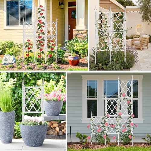 5.25FT Garden Trellis Support Fence,Metal Wall Lattice Climbing Frame for Climbing Plants Outdoor, White Iron Pipe Fence for Potted Plants Indoor for Ivy Vines Vegetable Flower, Patio, Lawn, Yard - color: White