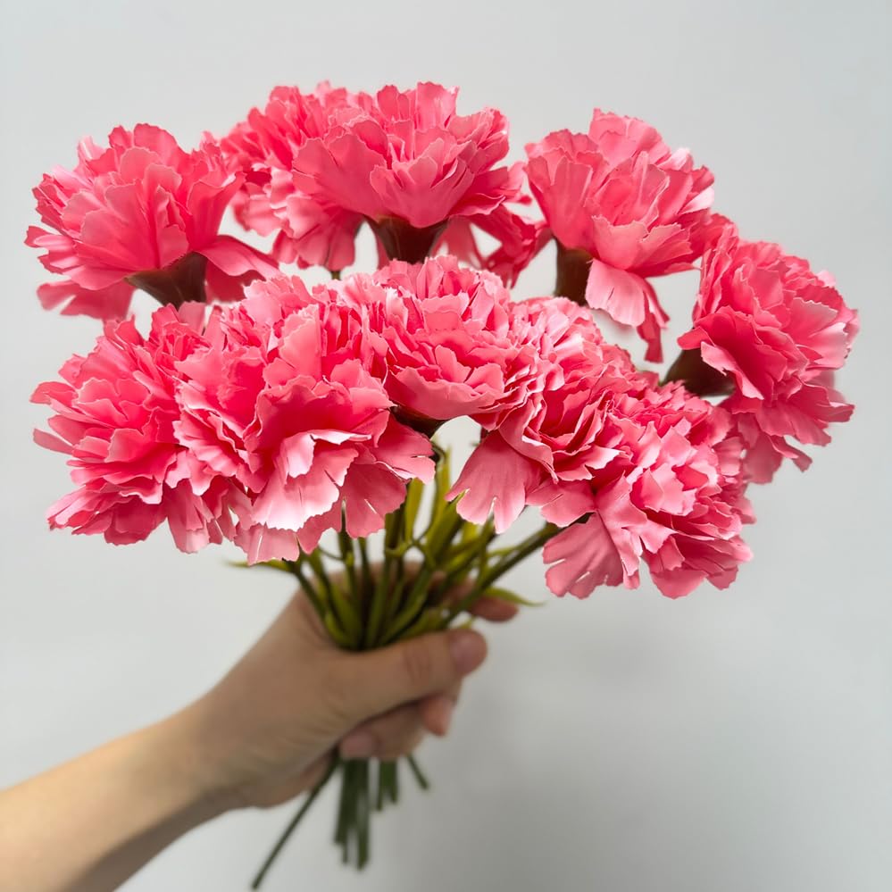 Rikyo 11" Bouquets 10 Stem Light Red Carnations,Outdoor No Fade Artificial Flower,Mini Carnation Silk Petals Fake Flowers Forever Plants for Home Party and Wedding Holding Flowers - color: Red