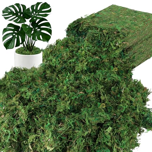 MAPVOLUT 30 OZ/1.87 LB Artificial Moss for Plants Indoor, Green Fake Moss for DIY Crafts, Decorative Moss for Fairy Gardens, and Potted Plants - Natural Texture & Durable Moss for Planter Filler - color: Green