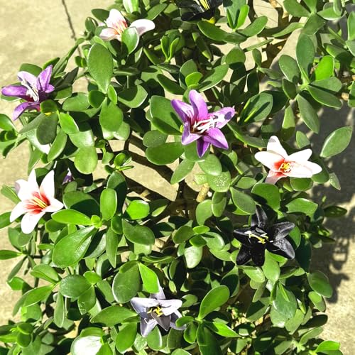 20 Pcs Artificial Lily Flower Head, Beanpastecolor | Fake Flowers Heads, Simulation Small Lily, DIY Handmade, Wedding Photography Party Home Decoration - color: Bean Paste Color