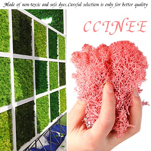 CCINEE Moss Preserved, 4 OZ Fake Reindeer Moss for Potted Plants for Craft Arts Floral Wall Decor Wedding Centerpieces Fairy Garden Artificial Terrariums Decoration for Christmas(Pink) - color: Pink