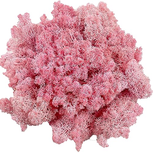 Moss Preserved Moss for Potted Plants Natural Fresh Green Reindeer Moss for Craft Arts Floral Wall Decor Decor Wedding Centerpieces Garden Artificial Terrariums Decoration for Christmas-Light Pink - color: Lightpink, size: 3.5oz