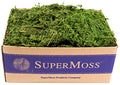SuperMoss (25325) Forest Moss Preserved, Fresh Green, 3 Pounds - color: Fresh Green, size: 1,560 cu in