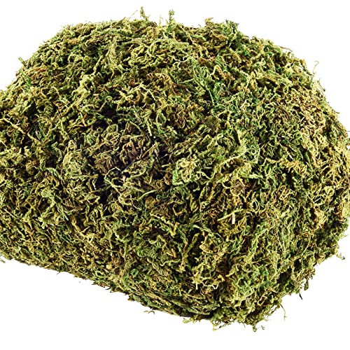 18 OZ Artificial Moss for Potted Plants & Fake Plants - Faux Decorative Moss for Planters & Craft