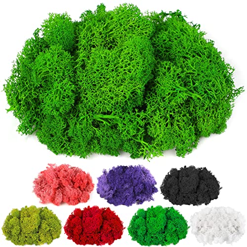 CCINEE Moss Preserved, 4 OZ Fake Green Reindeer Moss for Potted Plants for Craft Arts Floral Wall Decor Wedding Centerpieces Fairy Garden Artificial Terrariums Decoration for Christmas(Green) - color: Green