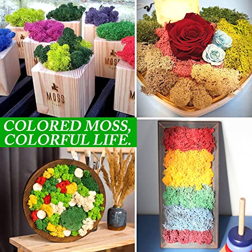 Preserved Reindeer Moss 17.6 OZ Blue Natural for Crafts, DIY Gift Christmas Decor, Wall Art, Potted Plants, Floral Fake Moss for Easter Table Decor Wedding Decorative(17.6 OZ, Blue) - color: Blue, size: 17.6 OZ