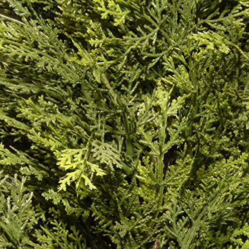 National Tree Company Artificial Tall Potted Shrub, Arborvitae, Green, Includes Dark Green Pot Base, Outdoor Collection, 48 Inches - size: 4ft