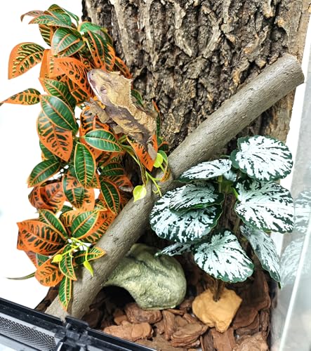 Woyrise 2 Pack Reptile Plants, Terrarium Hanging Plant Vines, Artificial Leaves with Suction Cup, Bearded Dragon Tank Accessories for Gecko Lizard Snake Frog Tortoise Decorations - Codiaeum Variegatum - color: Codiaeum Variegatum