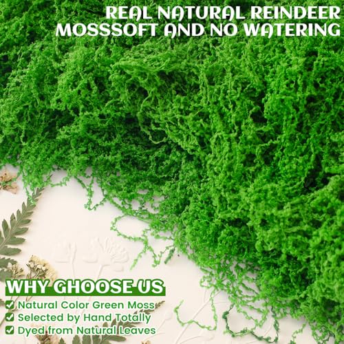 Suncalla Green Artificial Moss for Crafts 43.32oz/2.7lb Fake Green Moss Faux Grass for Potted Plants Indoor Bulk Large Capacity Fairy Garden DIY Decoration Model Making Walls Table Decors Home - color: Green