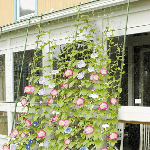 CISDUEO 2 Pcs Artificial Vines Silk Morning Glory Vines for Outdoor 15Feet Hanging Plants Garland Pink Fake Green Plant Morning Glories for Home Decor Wall Fence Stairway Wedding Hanging Baskets - color: Pink