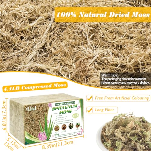 Halatool 4.4LBS Natural Sphagnum Moss for Plants 85 QT Premium Peat Moss Dried Long Fiber Orchid Moss for Orchid Repotting Carnivorous Succulents Garden Flowers Crafts Terrarium and Reptiles - size: 85 qt (4.4 lbs)