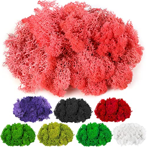 CCINEE Moss Preserved, 4 OZ Fake Reindeer Moss for Potted Plants for Craft Arts Floral Wall Decor Wedding Centerpieces Fairy Garden Artificial Terrariums Decoration for Christmas(Pink) - color: Pink