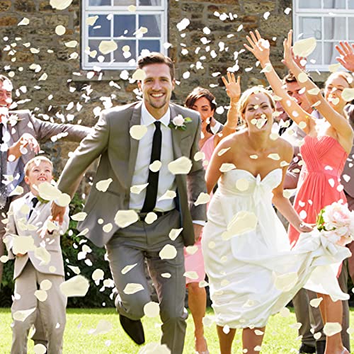 Ouddy Decor 5000 Pcs Rose Petals Artificial Flower for Valentine's Wedding Decor Romantic Night Event Anniversary Shower Engagement Party Home Mothers Day Decorations, Ivory - color: Ivory