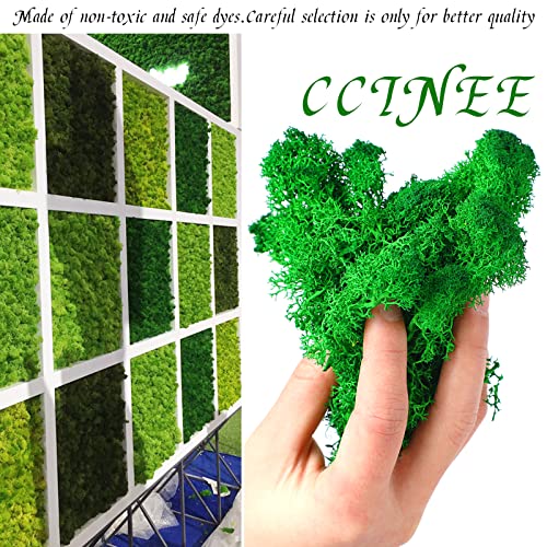 CCINEE Moss Preserved, 4 OZ Fake Green Reindeer Moss for Potted Plants for Craft Arts Floral Wall Decor Wedding Centerpieces Fairy Garden Artificial Terrariums Decoration for Christmas(Emerald Green) - color: Emerald Green