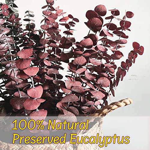 16 Pcs Dried Fall Eucalyptus Stems Red, Christmas Burgundy Dried Flowers for Vase, Home Decor, Real Eucalyptus Orange Brown, Eucalyptus Plant, 17" Fall Floral Stems Decorations Arrangement
