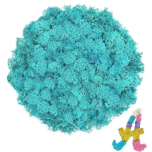3.5 OZ Blue Reindeer Moss, Preserved Moss for Plants, Moss Decor, Green Moss for Crafts, Moss for Potted Plants, Craft Decorative Moss Decor, Dried Moss - color: Blue, size: 3.5 OZ
