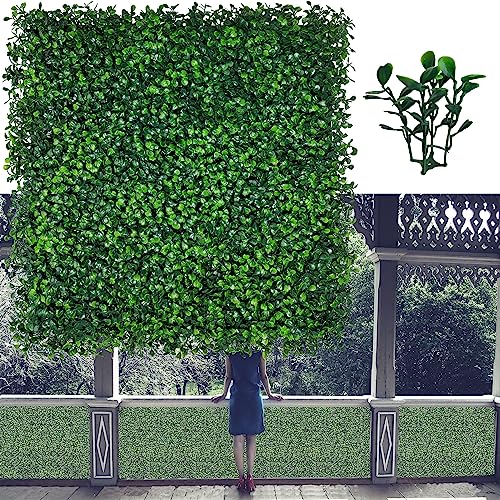 ODTORY Artificial Grass Wall Panels,20X20 in 6P UV-Anti Greenery Boxwood Panels for Indoor Outdoor Green Wall Decor & Ivy Fence Covering Privacy - size: 20*20IN 6P