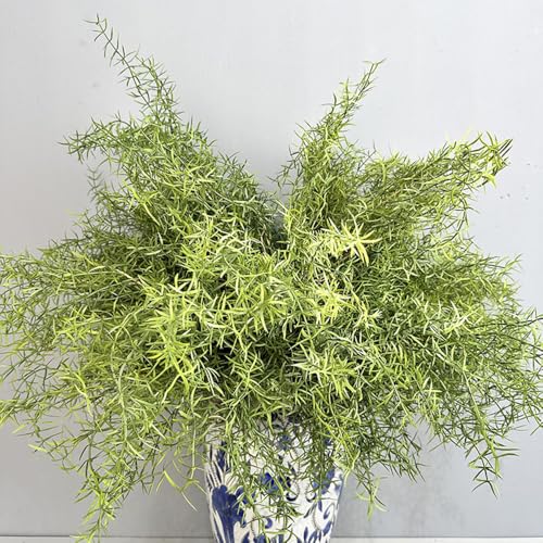 2Pcs Faux Asparagus Fern Bush 26In Large Artificial Radix Asparagi Fern Greenery Plants Home Decor Kitchen Garden Patio Balcony Decor