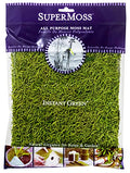 SuperMoss (22426) InstantGreen Moss Mat (Spanish Moss), Grass Green, 18 x 16" - color: Grass Green, size: 18" x 16"