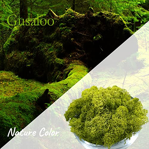Moss Preserved Artificial Moss for Potted Plants Natural Fresh Green Moss for Craft Arts Floral Wall Decor Wedding Centerpieces Garden Terrariums Decoration - Lemon Yellow 3.5OZ - color: Lemon Yellow, size: 3.5oz