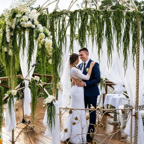Suncalla 12 Pcs Natural Dried Amaranthus Hanging Flowers 23 Inch Amaranthus Artificial Flowers for Wedding Arch Bouquet Floral Garland Wall Home Decoration - color: Apple Gree