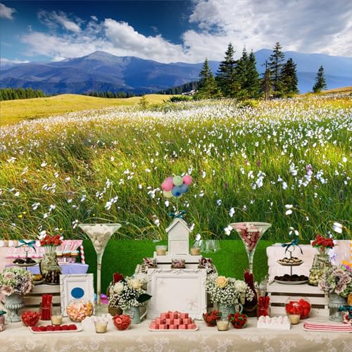 15x10ft Vinyl Summer Landscape Backdrops for Photography Background Blooming Flower Mountain Landscape Grass Field Vacation Holiday Party Backdrop Children Adults Portraits Photo Studio - size: 15x10ft