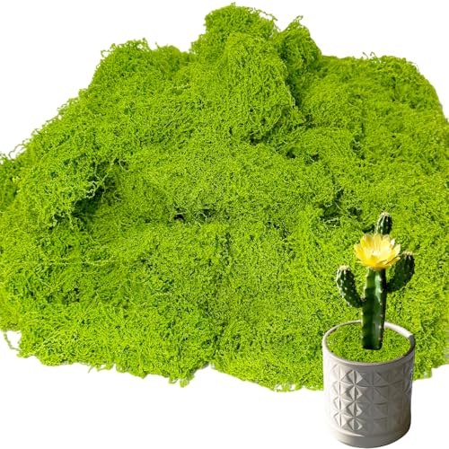 Fake Green Moss,10.6OZ Artificial Moss for Potted Plants,Faux Moss for DIY Crafts,Floral Decor,Wedding Party,Fairy Garden