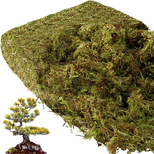 EBOOT 42.33 oz Faux Moss Fake Moss for Potted Plants Large Capacity Faux Dried Moss for Terrarium Decorative Artificial Natural Moss for Fake Plants Forest Moss for DIY Crafts Office Decor(2.65 lb)