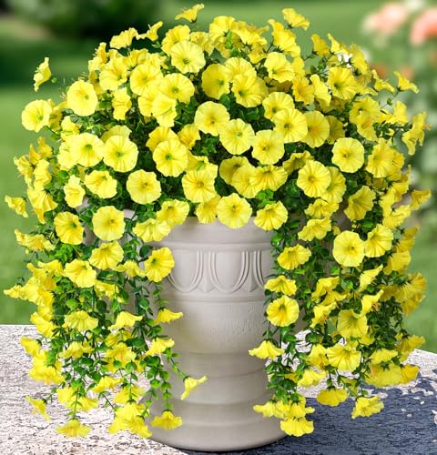 2 PCS Artificial Fall Faux Hanging Flowers Plants for Outdoor Decor,Fake Silk Morning Glory with Eucalyptus UV Resistant Realistic Mums Trailing Vines for Wall Home Porch Patio Balcony Yard,Yellow - color: Yellow