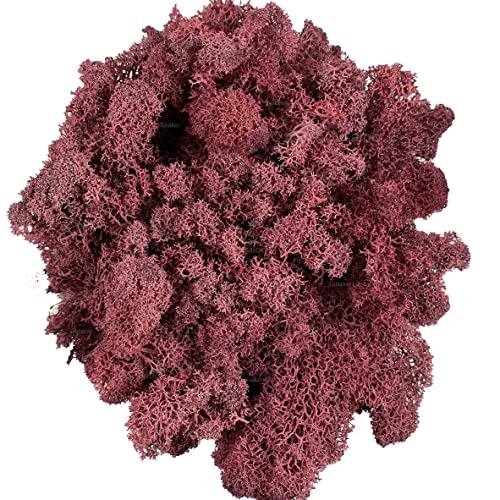 Moss Preserved Artificial Moss - Natural Fresh Green for Craft, Arts, Floral Projects, Wall & Table Decor, Wedding Centerpieces, Garden Terrariums - Dark Pink, 3.5OZ - color: Dark Pink, size: 3.5oz