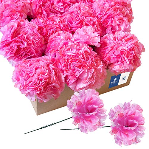 Royal Imports Artificial Carnations, Silk Faux Flowers, for Funeral Arrangements, Wedding Bouquets, Cemetery Wreaths, DIY Crafts - 100 Single 5" Stems - Hot Pink - color: Hot Pink