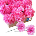 Royal Imports Artificial Carnations, Silk Faux Flowers, for Funeral Arrangements, Wedding Bouquets, Cemetery Wreaths, DIY Crafts - 100 Single 5" Stems - Hot Pink - color: Hot Pink