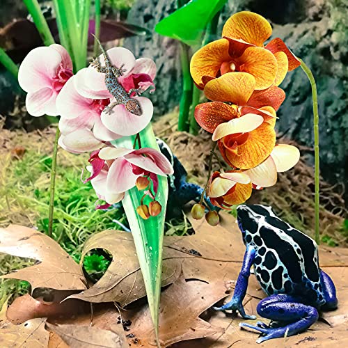 Chuangdi 2 Pieces Artificial Phalaenopsis with Suction Cups Terrarium Plant Decoration Reptile Habitat Plant Decor for Hermit Crab Lizards Geckos Snake Reptile (Purple, Yellow) - color: Purple, Yellow, style: Gradient