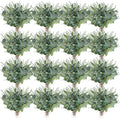 Tigeen 150 Pcs Artificial Eucalyptus Stems, 2 Styles Faux Greenery Leaves with Silver Dollar and Small Leaf Sprays for Wedding Bouquet DIY Floral Arrangements, Centerpieces, Home Decor (Green)